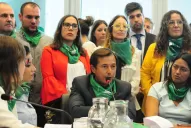 Analizan convocar a una consulta popular vinculante si el Senado rechaza el aborto