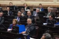 Alperovich definió su voto sobre el aborto y fue tendencia en las redes sociales