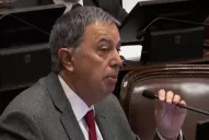 La frase de Rodolfo Urtubey en el Senado: hay casos en los que la violación no tiene violencia sobre la mujer