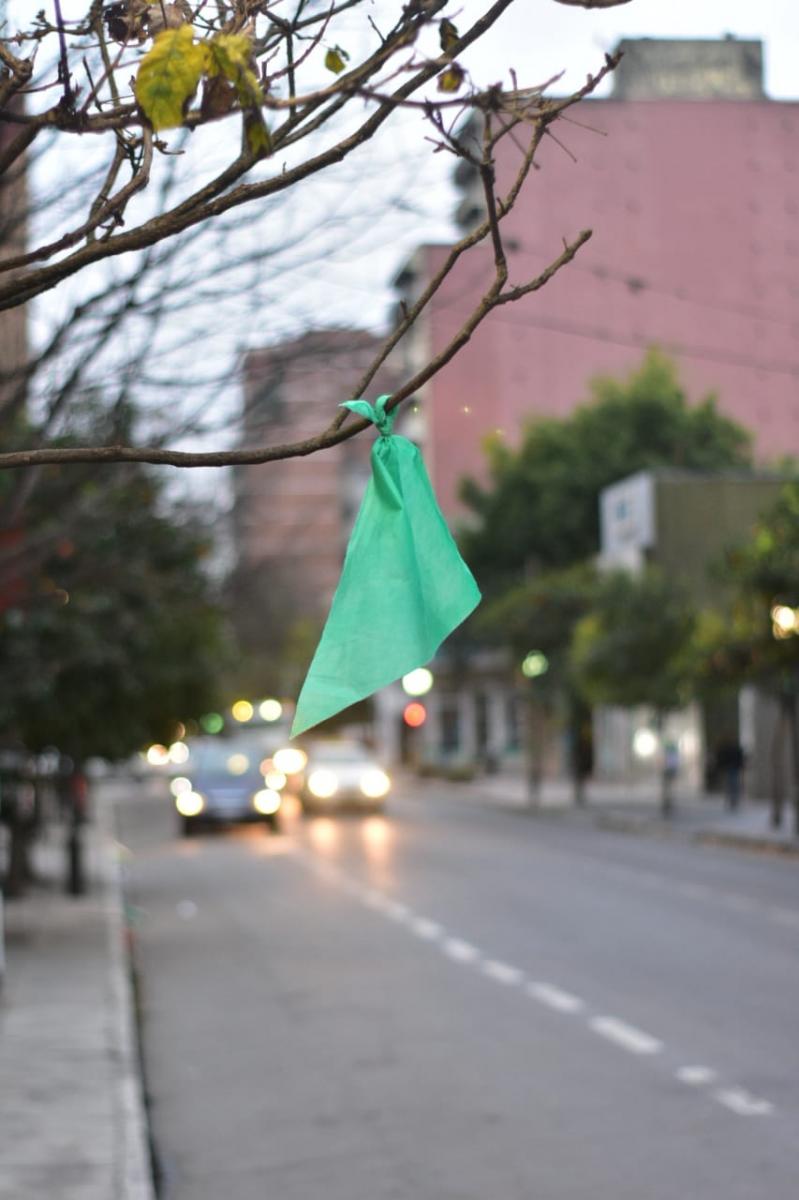 San Miguel de Tucumán amaneció salpicado por la ola verde