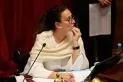 Michetti no advirtió que el micrófono estaba abierto e insultó a un senador