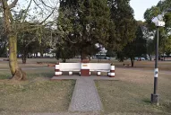 La misteriosa desaparición de la estatua: la Justicia espera determinar si el robo quedó registrado