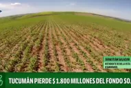 Un intendente de Cambiemos se opuso a la eliminación del Fondo Soja