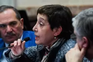 Alperovich y Mirkin, por el freno al DNU