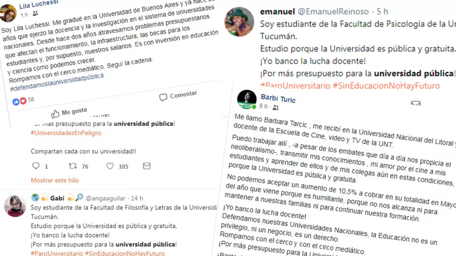 ¡Yo banco la lucha docente!: la consigna sobre la universidad pública en las redes