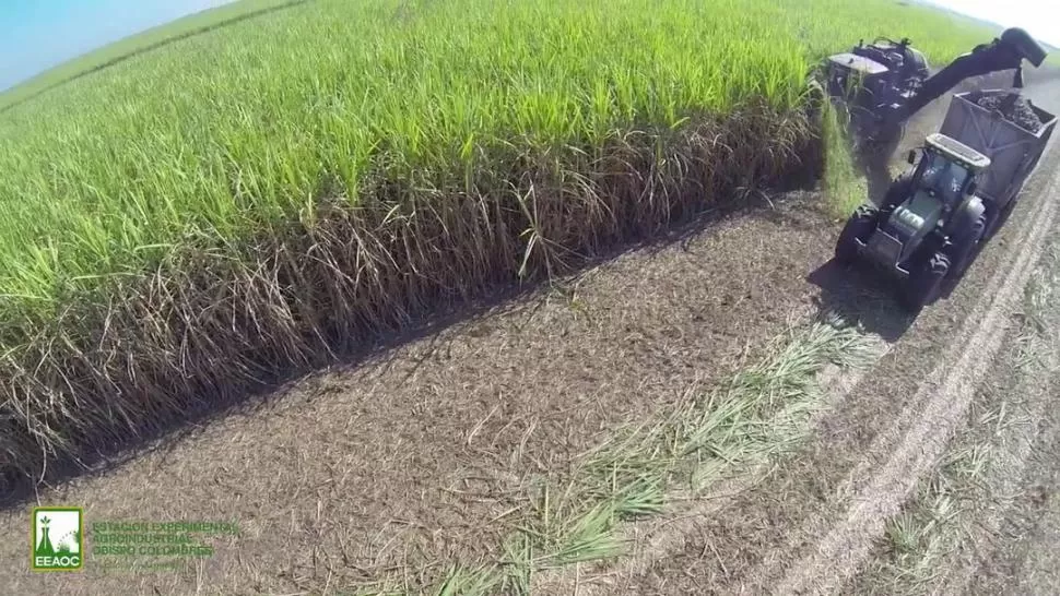 BENEFICIO. La cobertura de RAC que queda en el suelo permite que se logre tener una mejor conservación de la humedad en el subsuelo del campo. GENTILEZA EEAOC