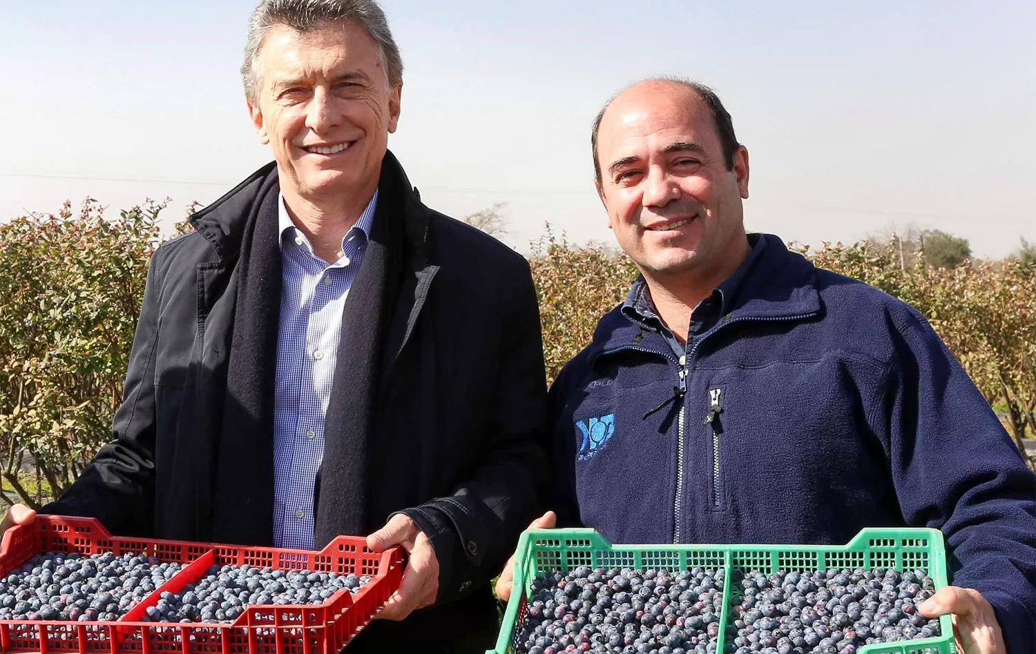 CON ARÁNDANOS. Macri estuvo junto a Francisco, uno de los productores. 