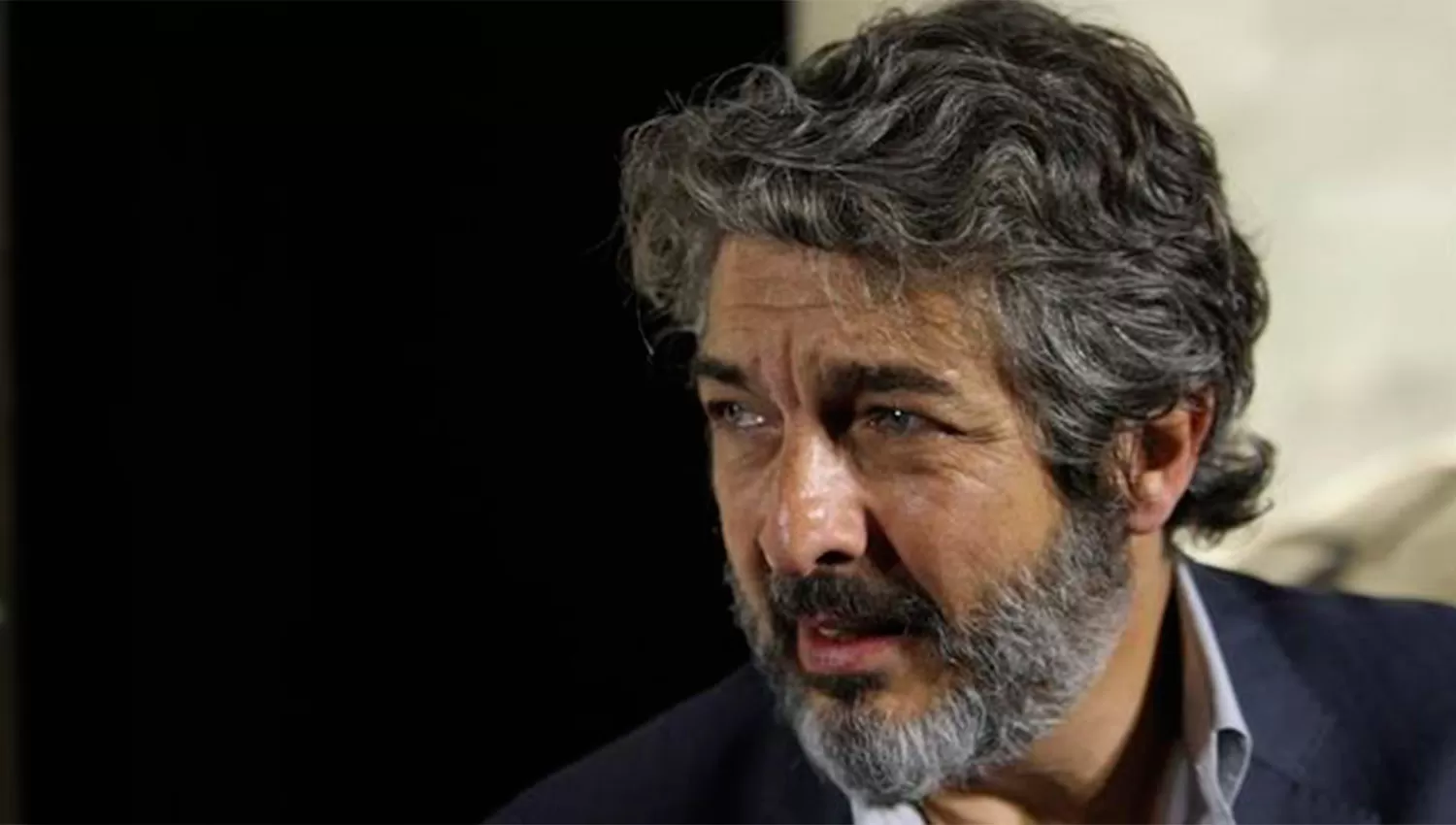 DIO SU PUNTO DE VISTA. Ricardo Darín, preocupado por la situación económica.