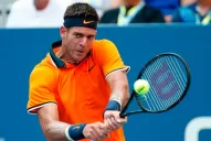 Del Potro va por Verdasco para seguir en el US Open