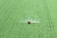 La vamos a tomar como una medida temporal, dijo el titular de la Rural Tucumán