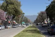 “Yerba Buena necesita un código de edificación”