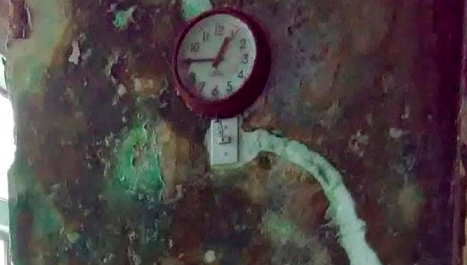 Imágenes: así está hoy la casa donde Barreda asesinó a su familia