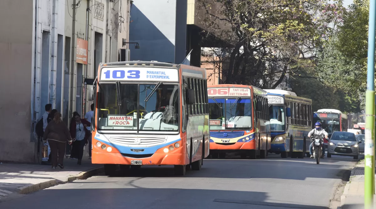 Colectivos