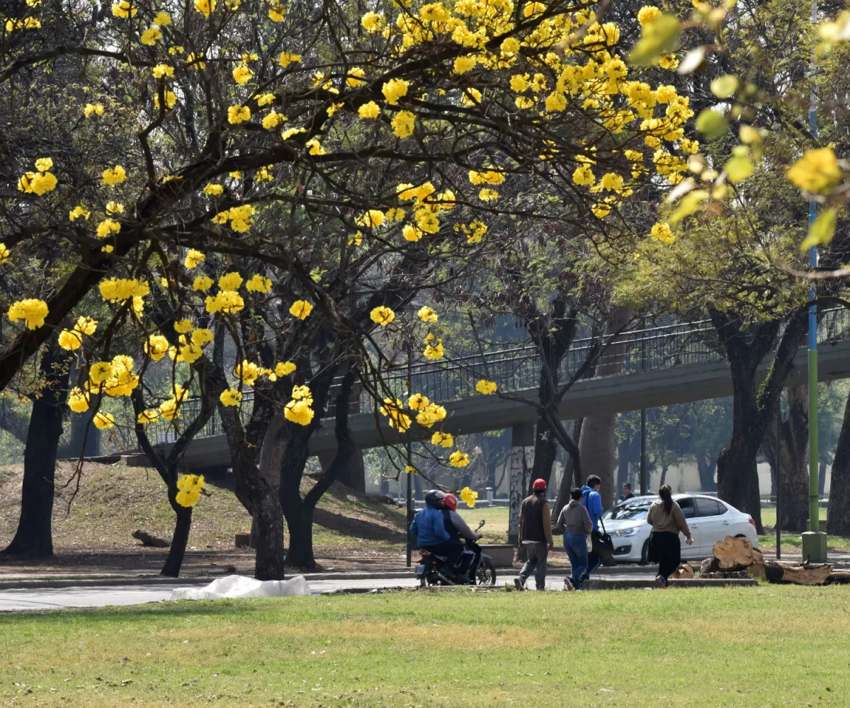 LA GACETA / INÉS QUINTEROS ORIO