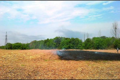 Una estrategia para reducir la huella de carbono es aprovechar el RAC de caña de azúcar de manera sustentable