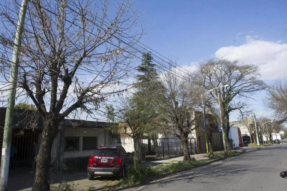 ASÍ ENTRARON. Los asaltantes barretearon una ventana que da al fondo usando las patas de una mesa de madera. la gaceta / fotos de jorge olmos sgrosso