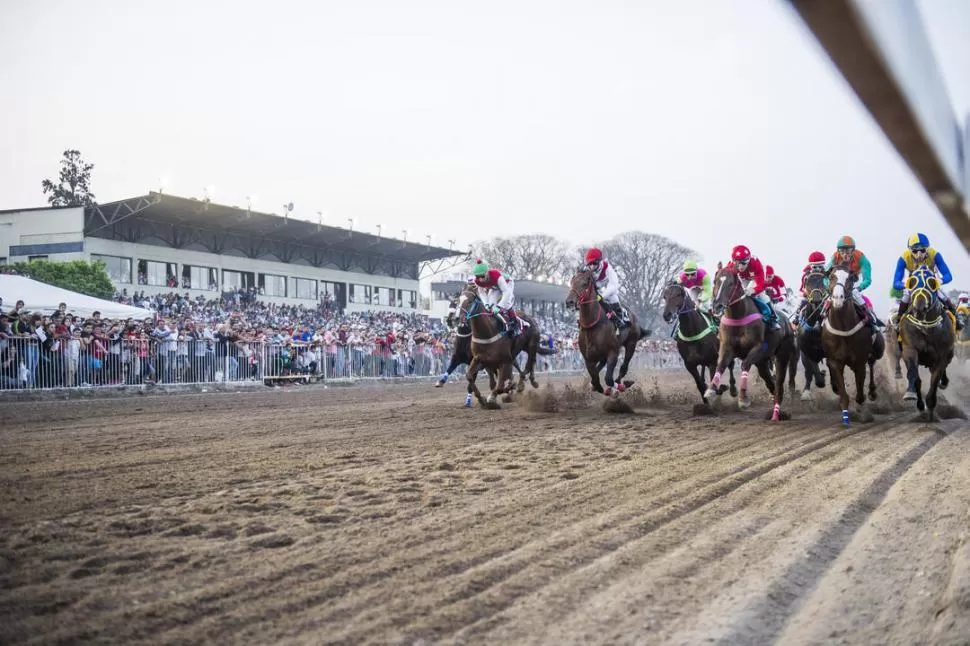HABRÁ MUCHA ACCIÓN EN LA PISTA DEL HIPÓDROMO TUCUMANO. Los mejores caballos de la región competirán el próximo lunes en el circo hípico local, donde la principal atracción será el tradicional Gran Premio “Batalla de Tucumán”. la gaceta / FOTO DE JORGE OLMOS SGROSSO