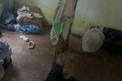 Familia “golondrina” en la trampa