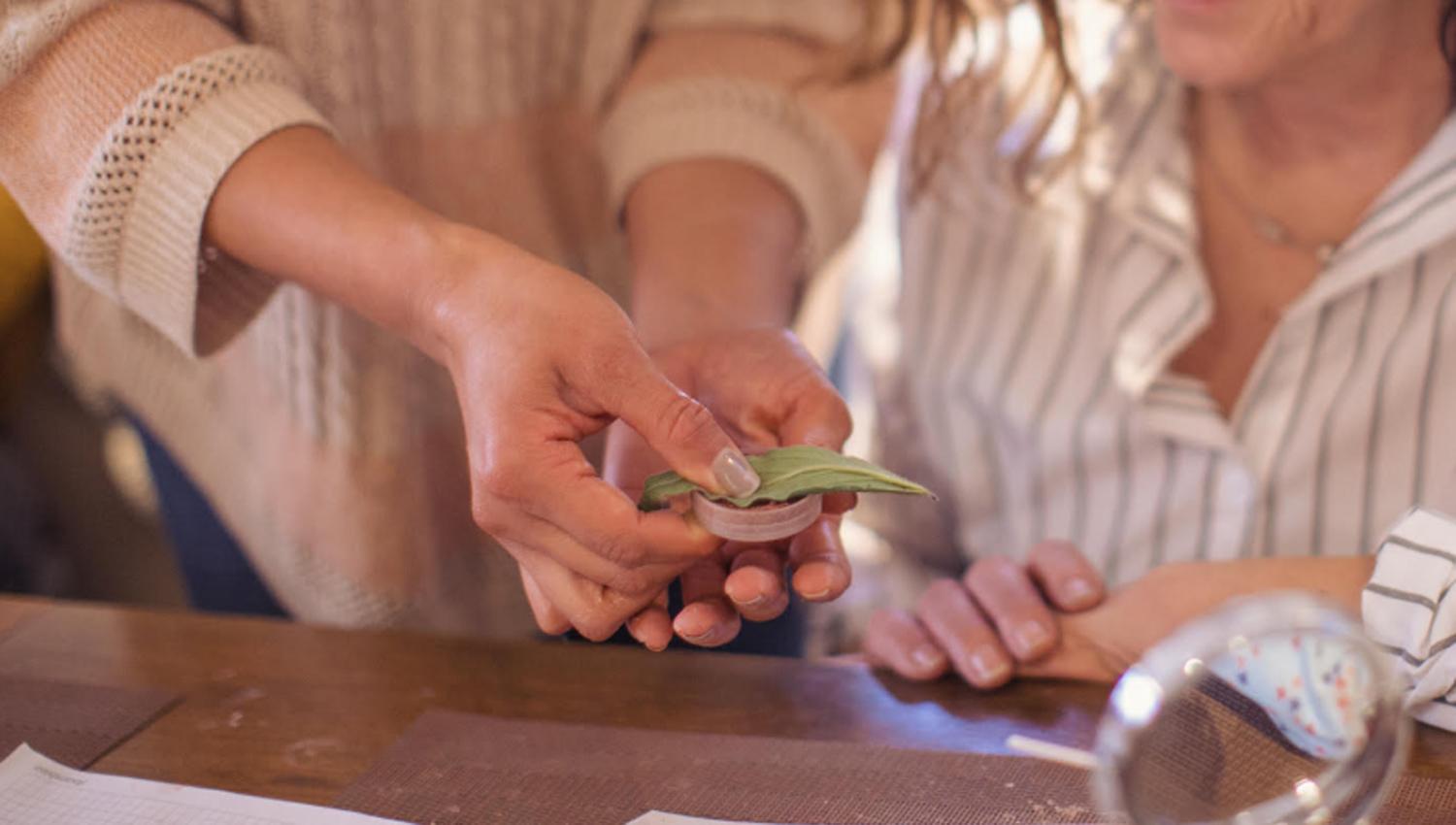 BIOCOSMÉTICOS ECOLÓGICOS. Se dictan talleres para aprender a hacer los productos vos mismo.