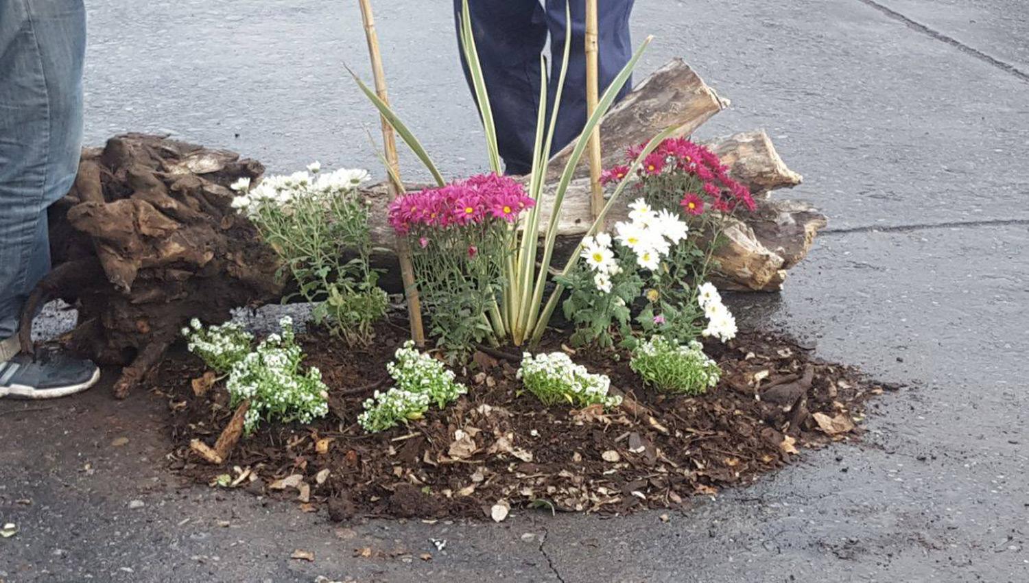 Con flores y dibujos en 3D buscan visibilizar el problema de los baches en Tucumán