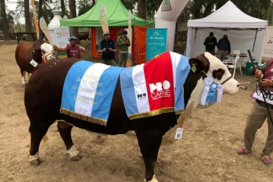La cabaña San Vicente ganó el premio  Toro Gran Campeón en la ExpoBRA 2018