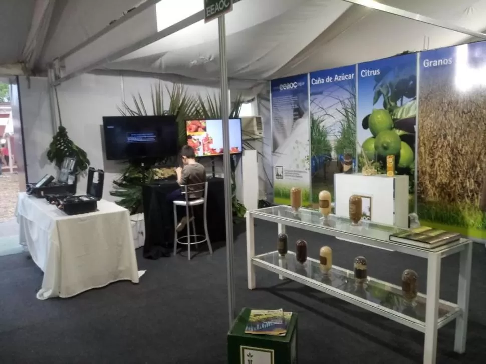 LA EEAOC. Niños y adultos pueden conocer algo de ciencia en el stand. 