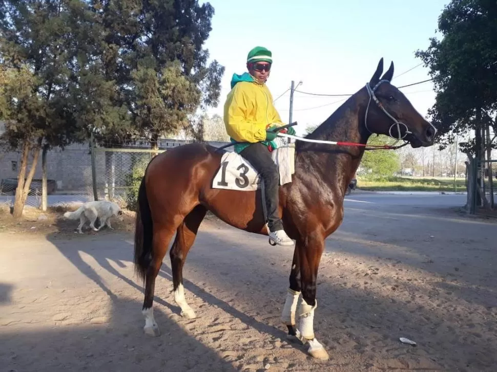 EN PLENO ASCENSO. El potrillo Junger se lució en los ensayos al pasar 1.400 metros en 1’27”, dejando en claro que será protagonista en la carrera del lunes. LA GACETA / FOTO DE CARLOS GUSTAVO CHIRINO