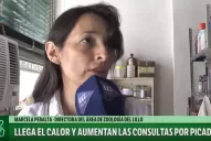 Llegó el calor y aumentaron las consultas por picaduras de alacranes