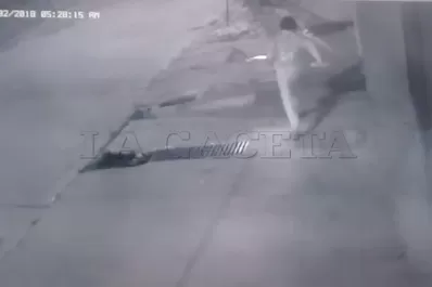 Video: un ladrón estuvo varios minutos tratando de arrancar un reflector