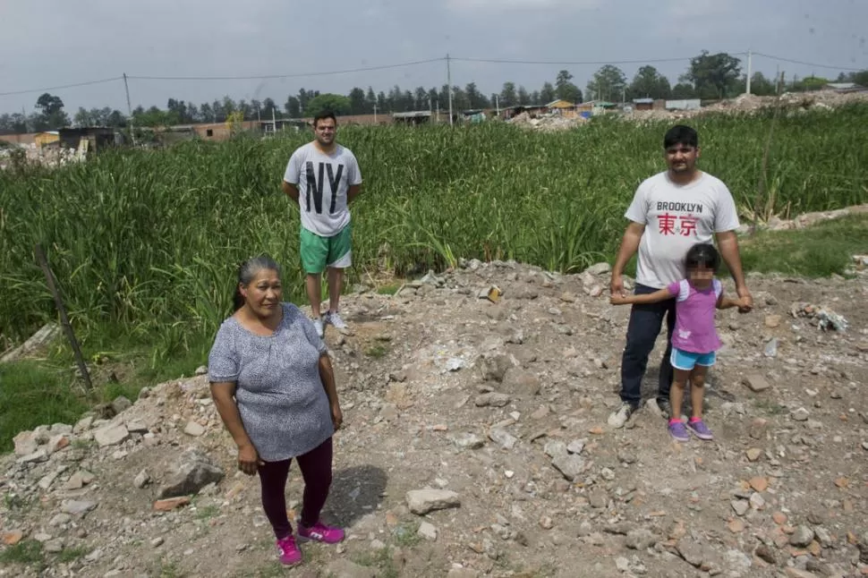 EN LA MARGARITA. Pizarro, Jiménez y Azcurraire están parados en uno de los bordes de la laguna, cubierta de totoras, y esperan que se la erradique. la gaceta / FOTO DE JORGE OLMOS SGROSSO