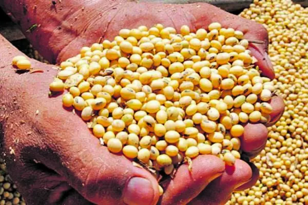 EEAOC: Seminario soja. Actualización del manejo para el NOA