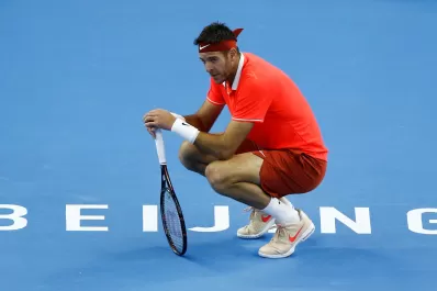 Del Potro perdió la final de Beijing ante Basilashvili