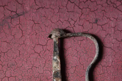 ›› Cartas de lectores