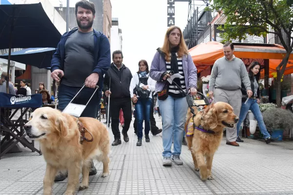 Los perros guía pueden entrar en cualquier lado salvo a los quirófanos