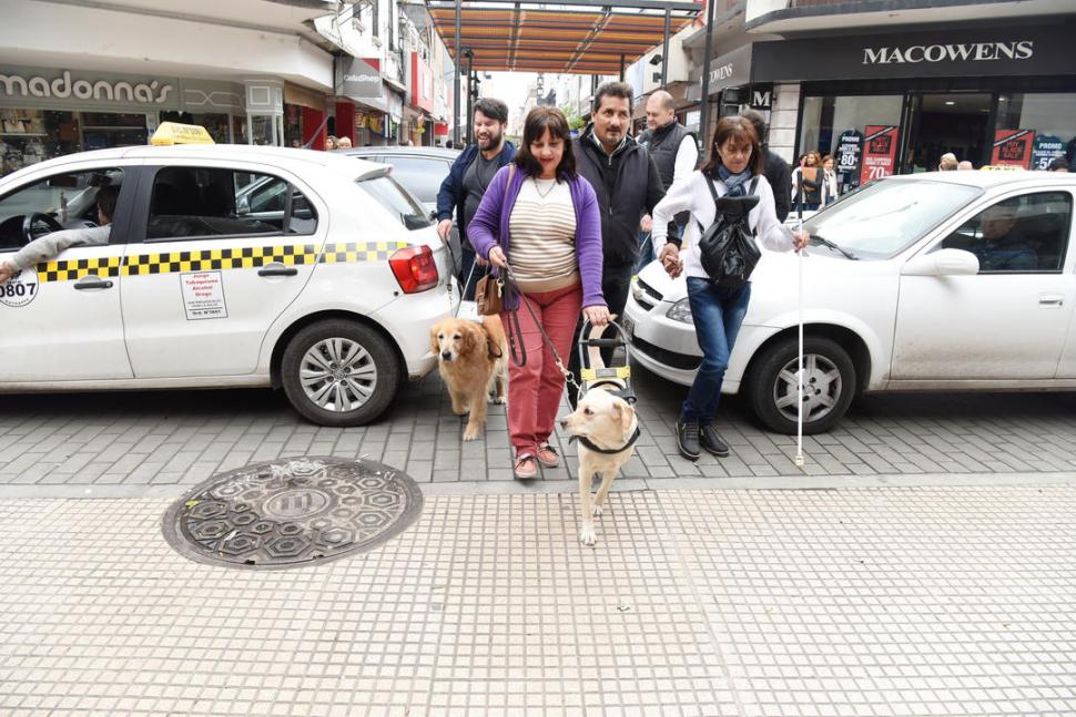 CRUCE DE CALLE. Los animales saben cuándo se puede pasar. 