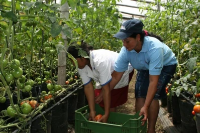 La mujer cumple un rol vital en la labor del campo