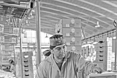 Capacitación en monitoreo citrícola