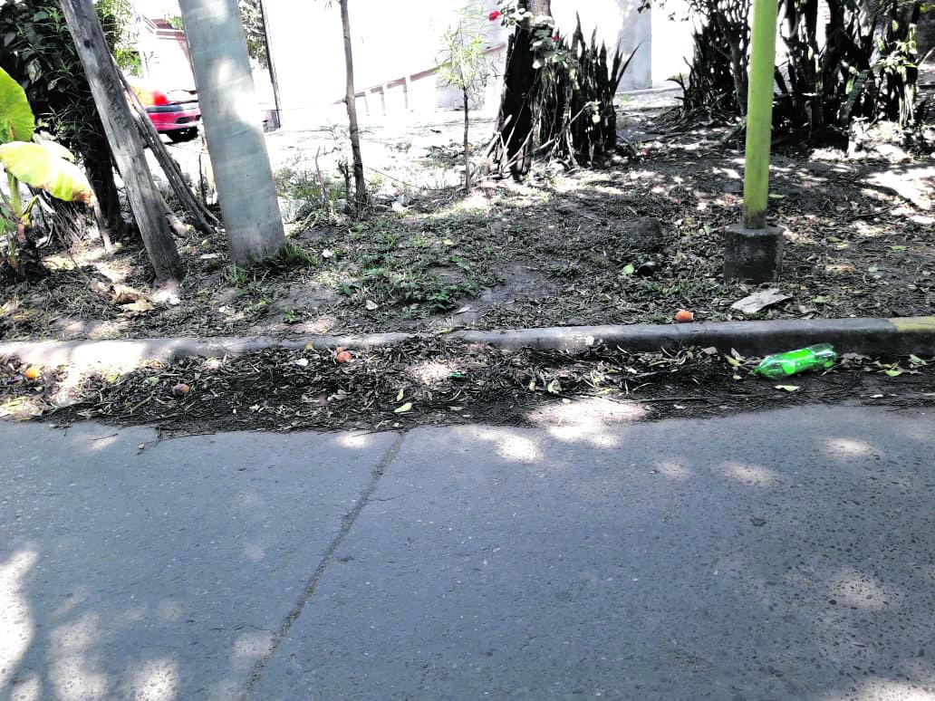 Suciedad acumulada en una rejilla pluvial de avenida Benjamín Aráoz al 1.300