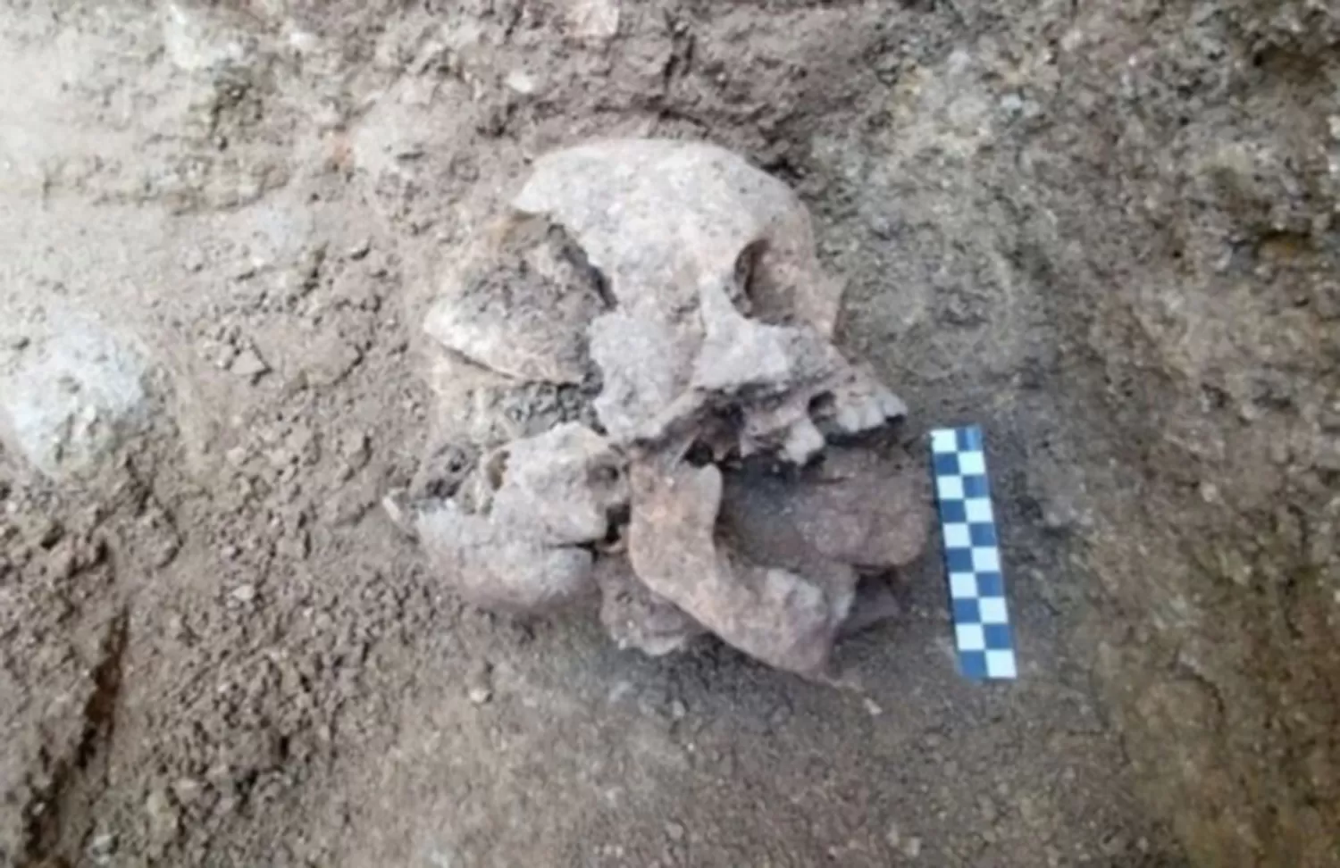 Conmoción: hallaron la tumba de un “niño vampiro”