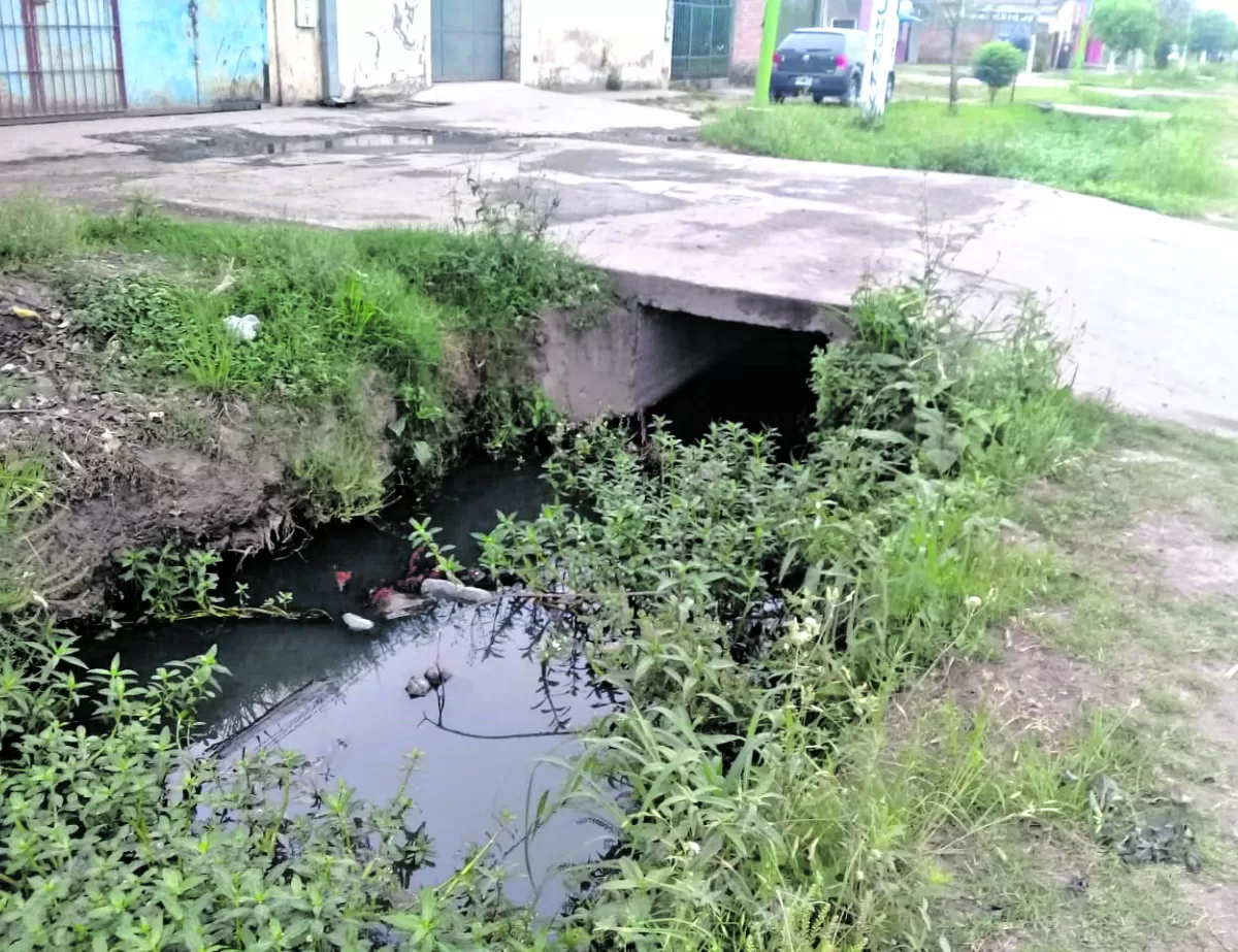 Se vienen las grandes lluvias y una acequia carece de limpieza