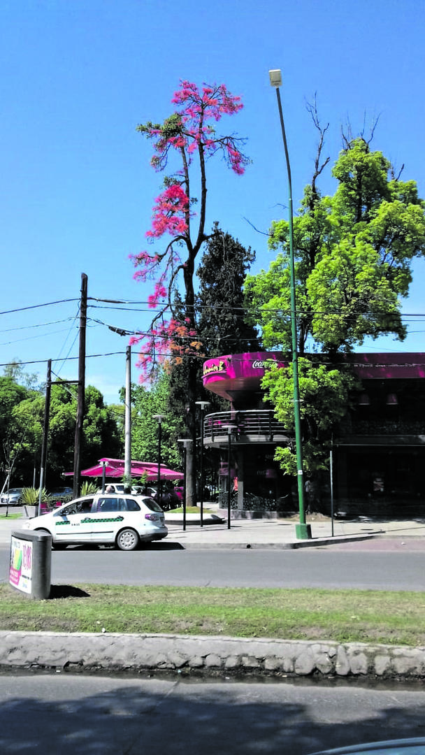 La camioneta se incrustó en un hoyo, donde debía estar una tapa cloacal