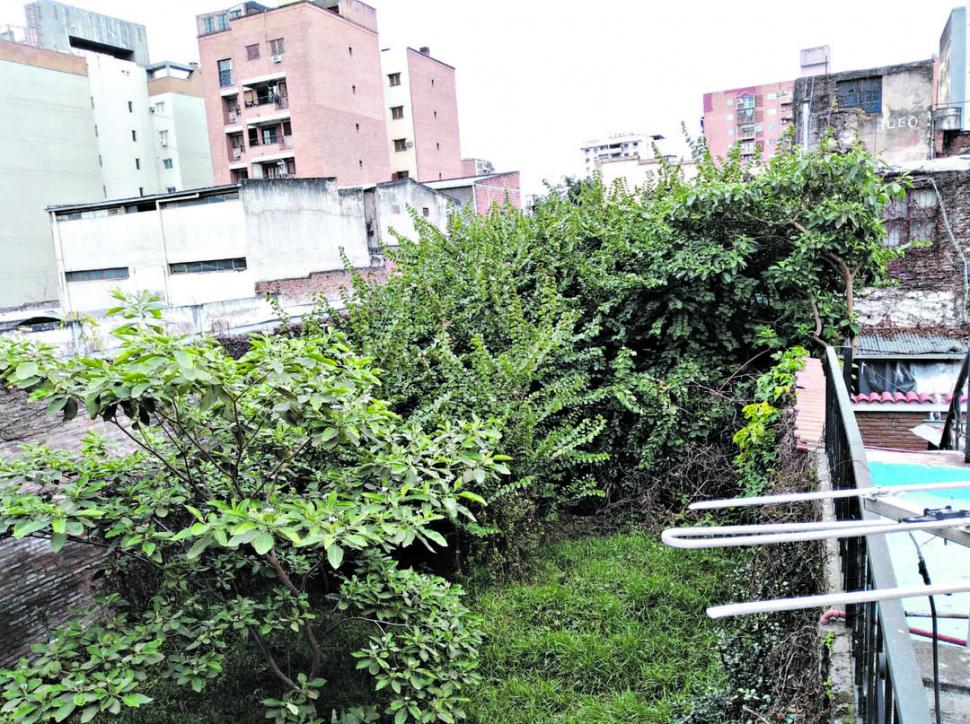 Se vienen las grandes lluvias y una acequia carece de limpieza