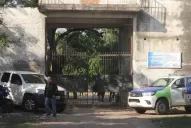 Encontraron muerta a Sheila, la niña que era buscada desde el domingo