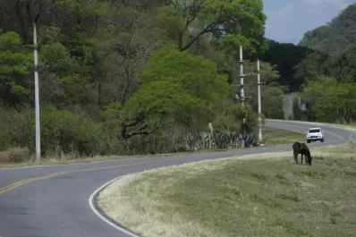 Donaron dinero para un corral en la comisaría de Raco y no se hizo