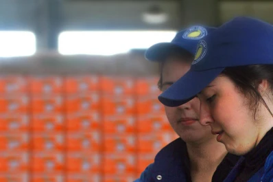 El limón argentino cierra con éxito la campaña 2018