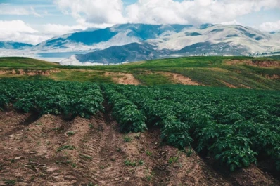 Excelencia en las alturas