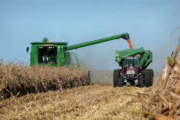 Los productores tucumanos privilegiaron el rinde al elegir sus maíces híbridos 2017/2018