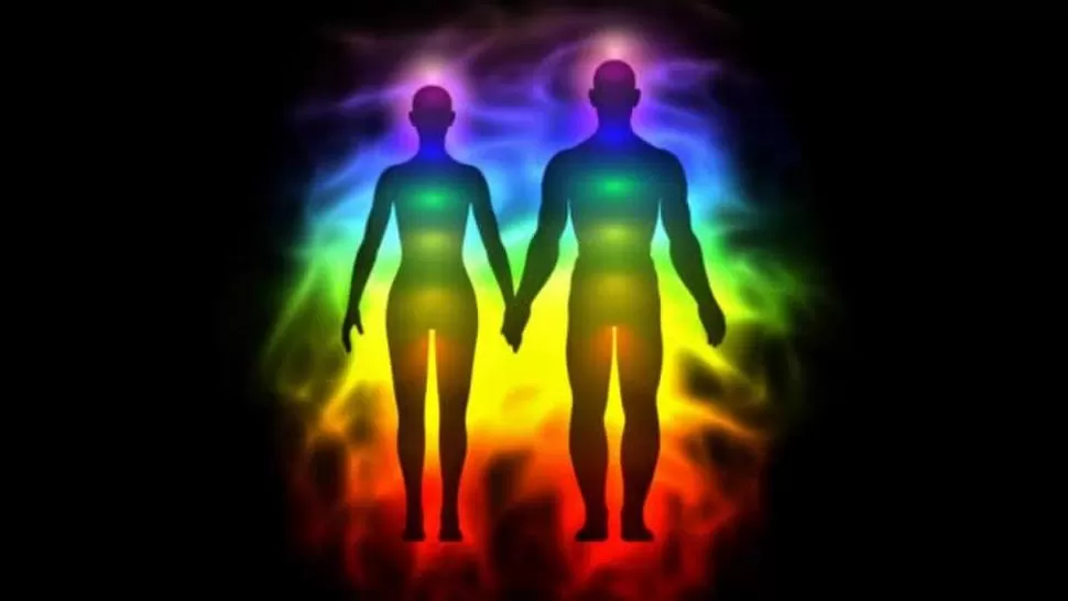 ¿QUÉ ES? Una nube personal de microorganismos y elementos químicos.  