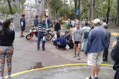 Se desplomó un árbol en el parque Avellaneda e hirió a un motociclista
