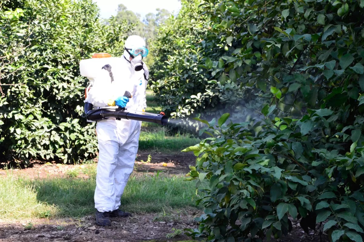 El uso de agroquímicos exige profesionalismo